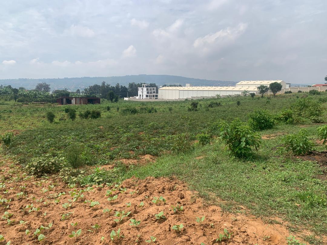Commercial Land